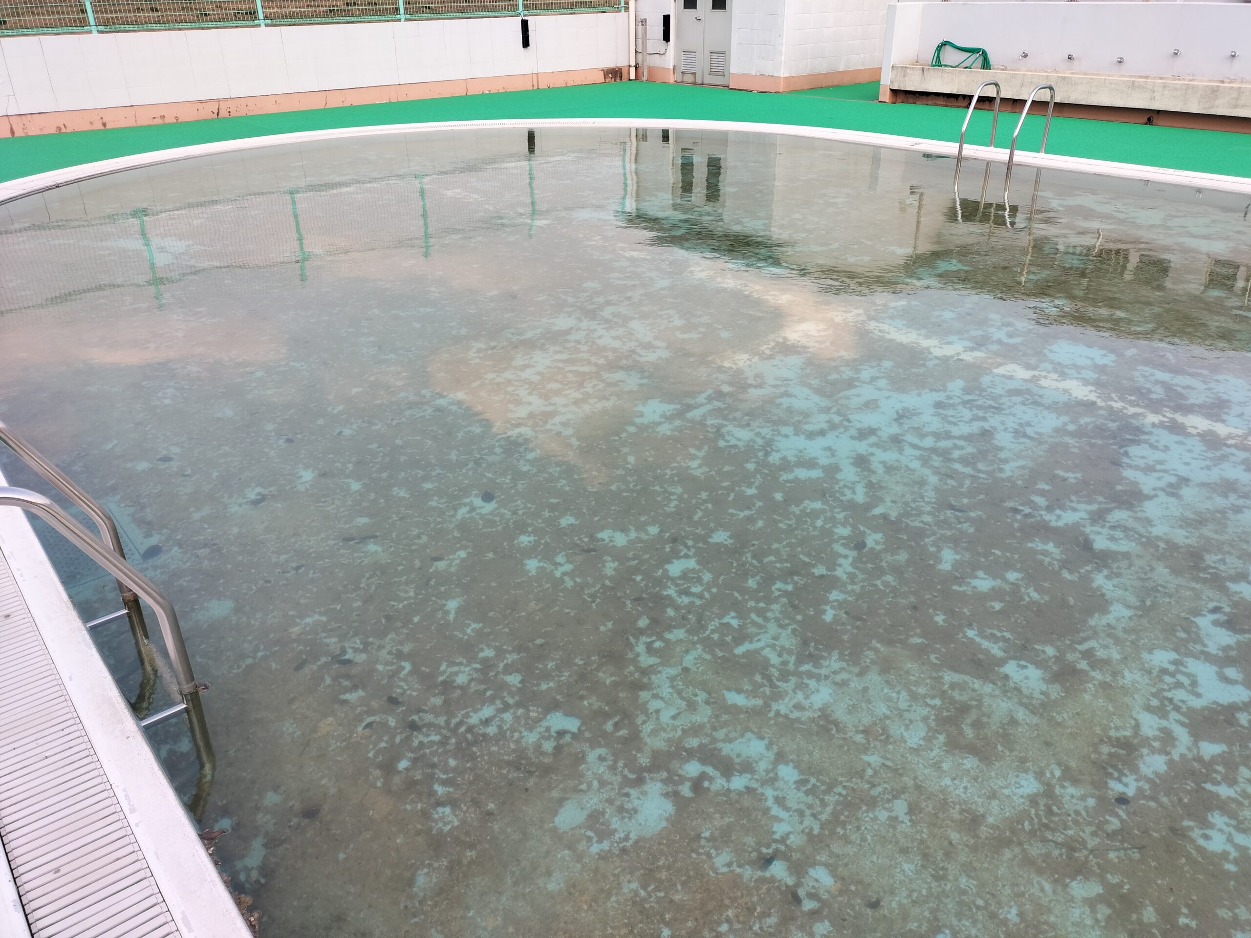 プールサイオン使用事例