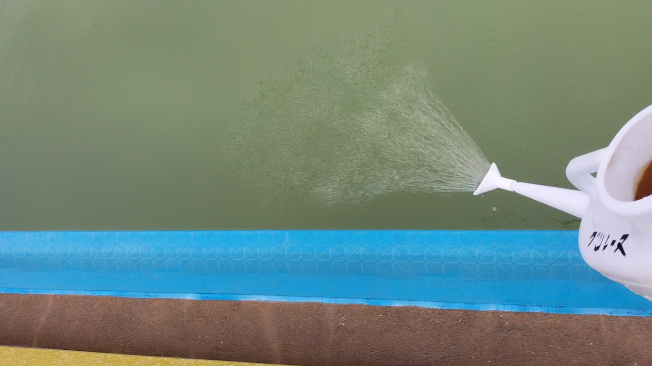 プールサイオン使用事例