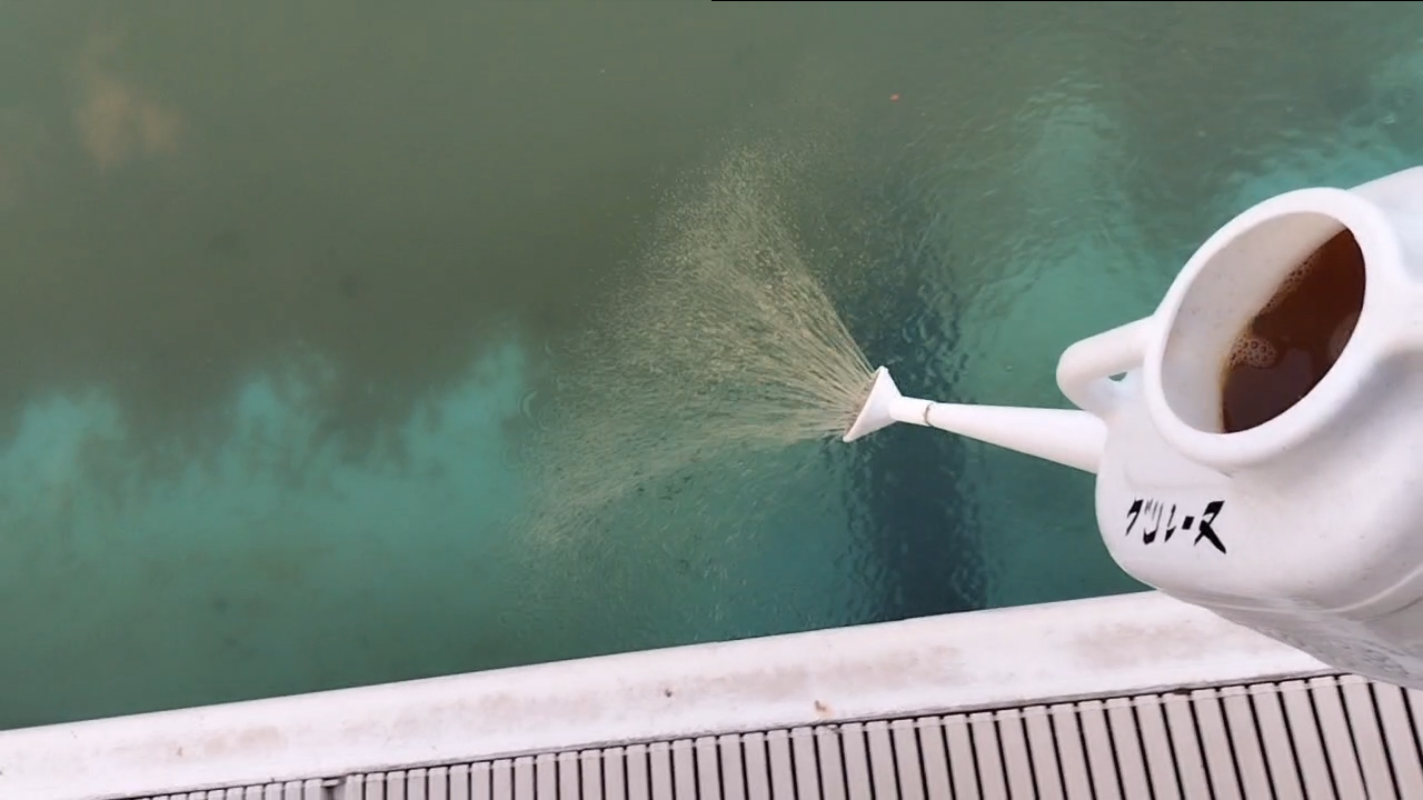 プールサイオン使用事例