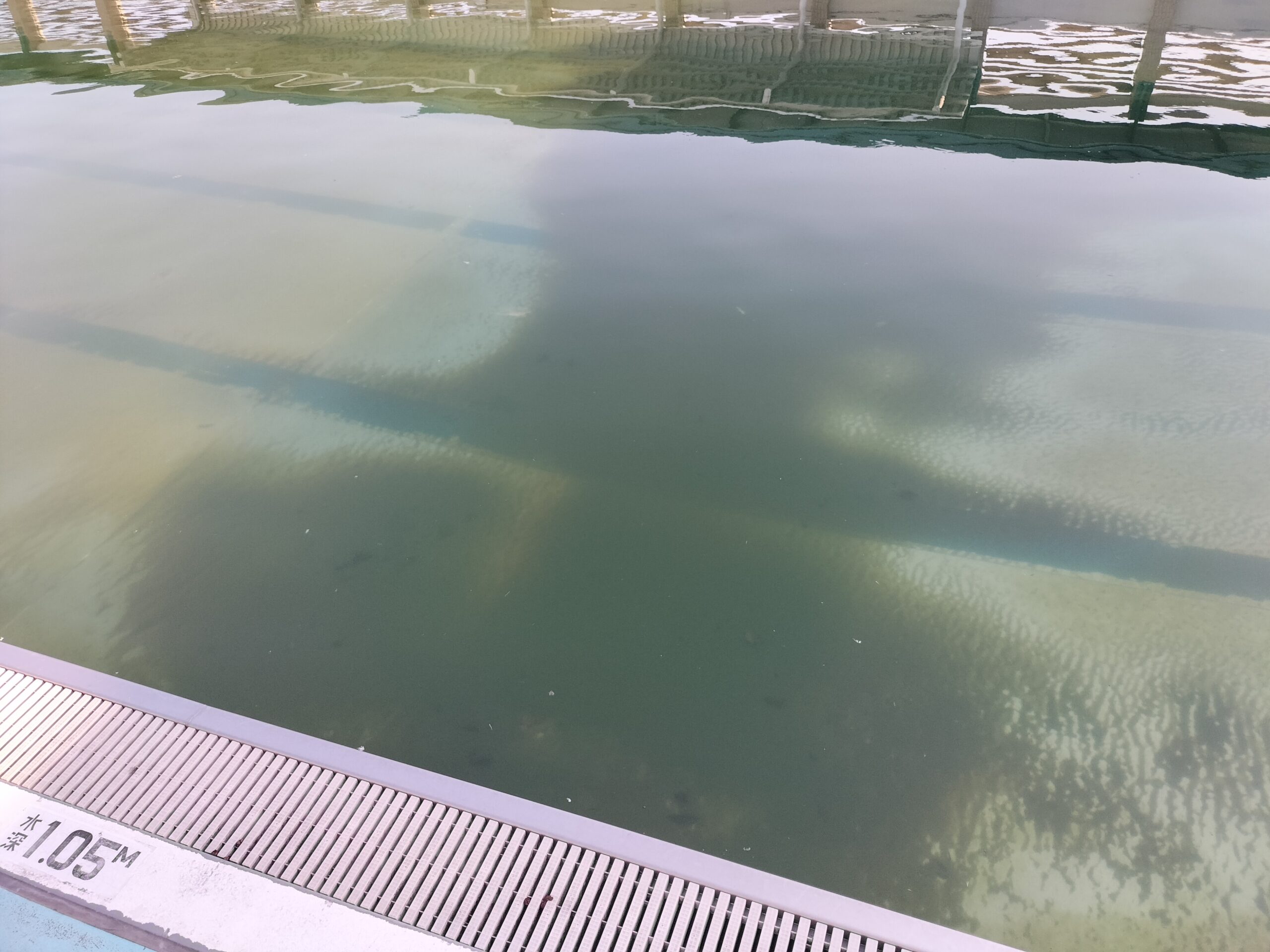 プールサイオン使用事例