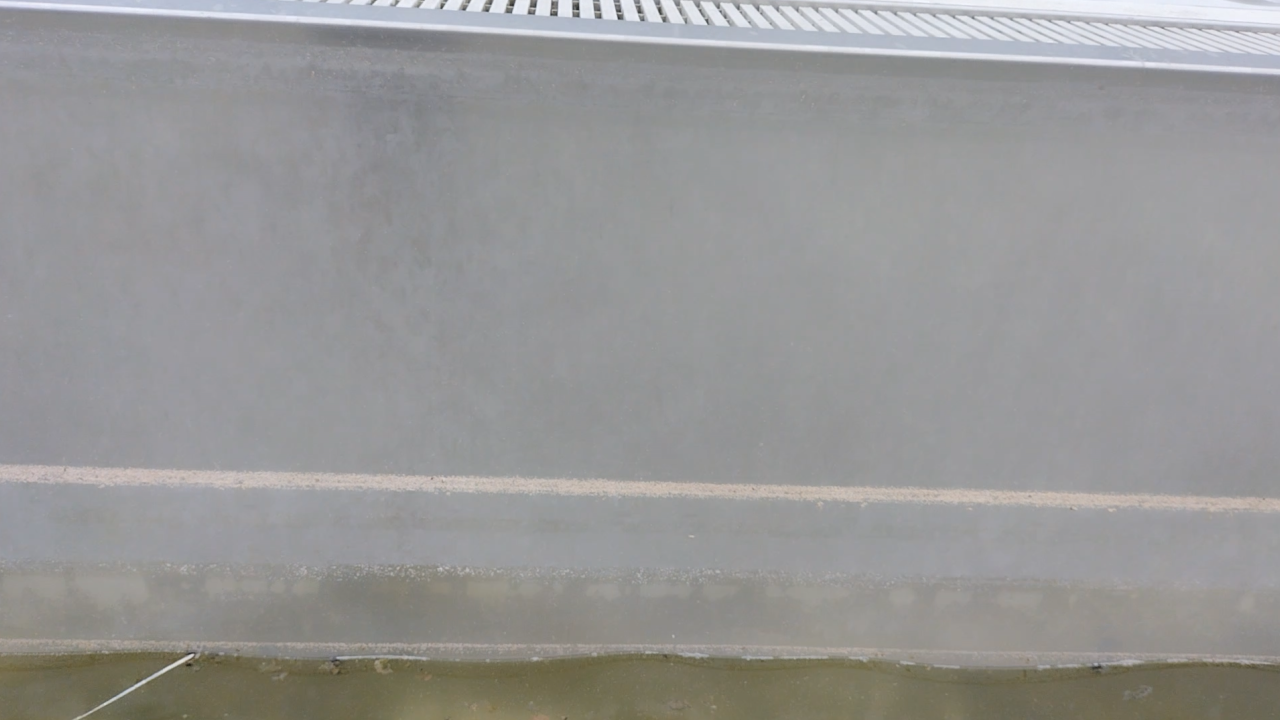 プールサイオン使用事例