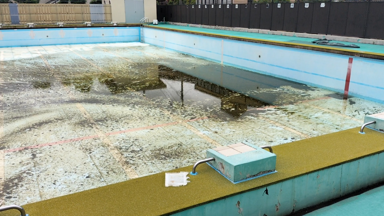 プールサイオン使用事例