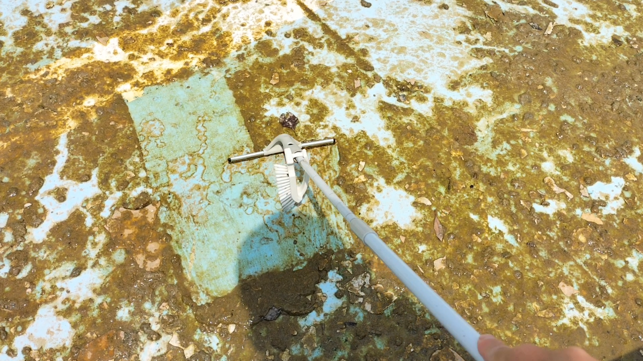 プールサイオン使用事例