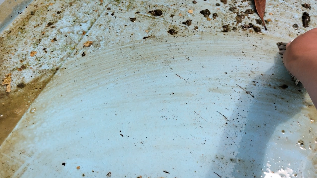 プールサイオン使用事例