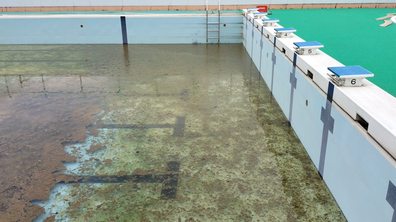 プールサイオン使用事例