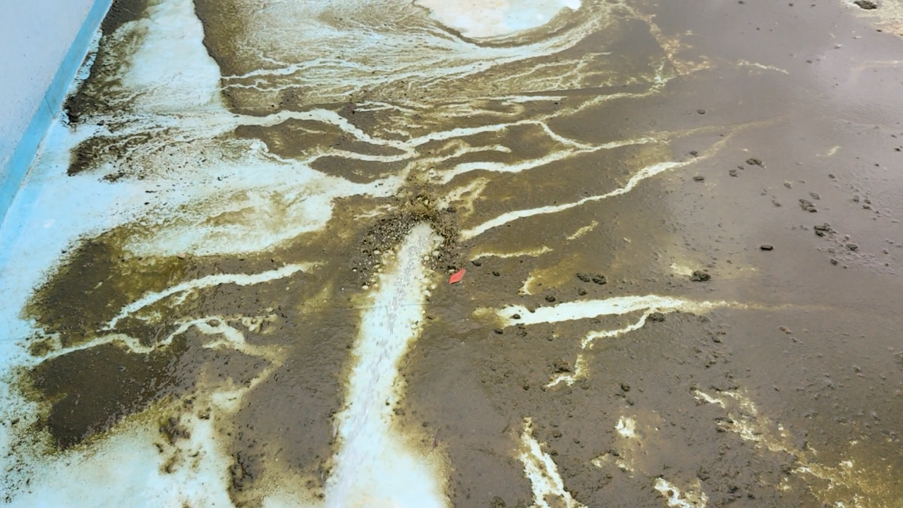 プールサイオン使用事例