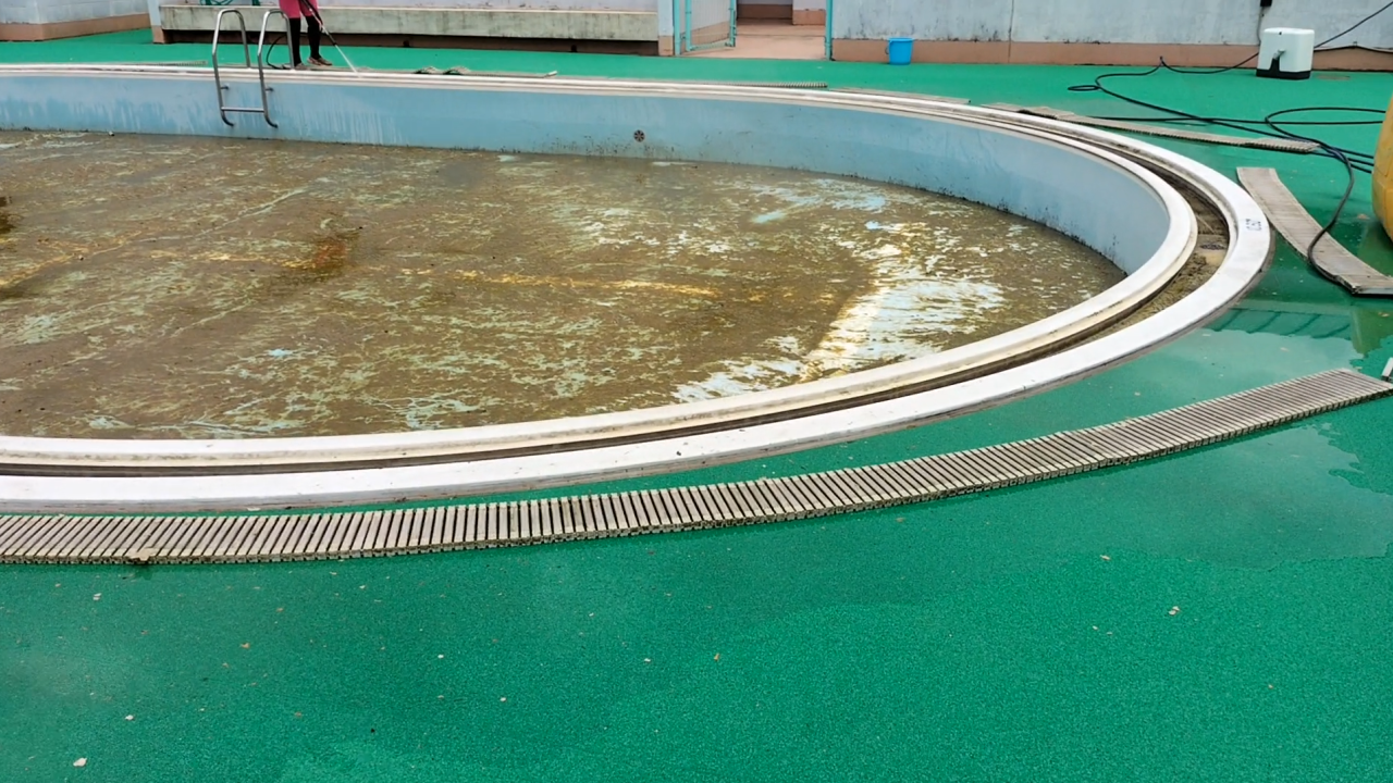 プールサイオン使用事例